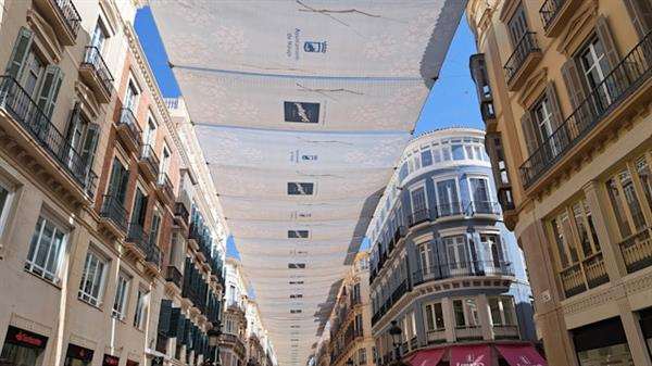 Avistamiento de delfines en Málaga: experiencias únicas en el mar
