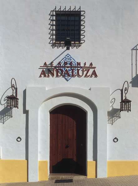 Academia Andaluza de idiomas