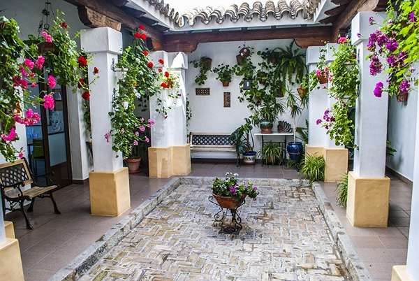 Academia Andaluza de idiomas