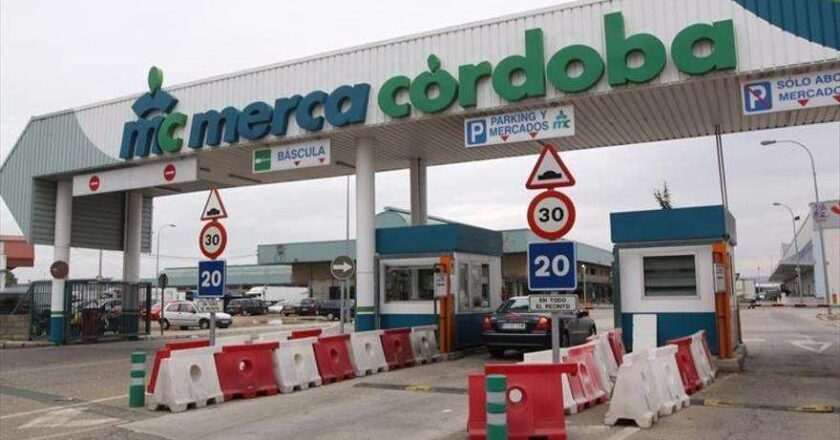Aprobación final de la modificación del plan de Mercacórdoba para utilizar toda la superficie disponible
