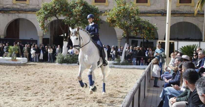 Caballerizas Reales Córdoba: Hacemos reitera la demanda de gestión pública a través de un patronato