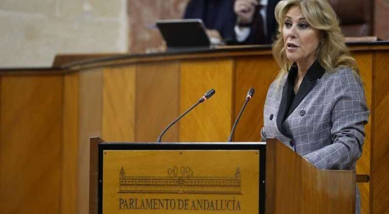 Carolina España presentará en el primer Pleno del Parlamento del año el cambio en la Intervención General.