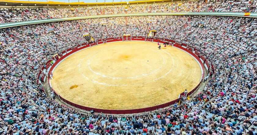 Celebraciones taurinas con un fuerte espíritu solidario en La Alameda