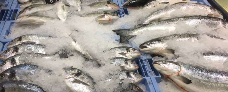 Desarrollan un sensor inteligente para evaluar la frescura del pescado y la carne