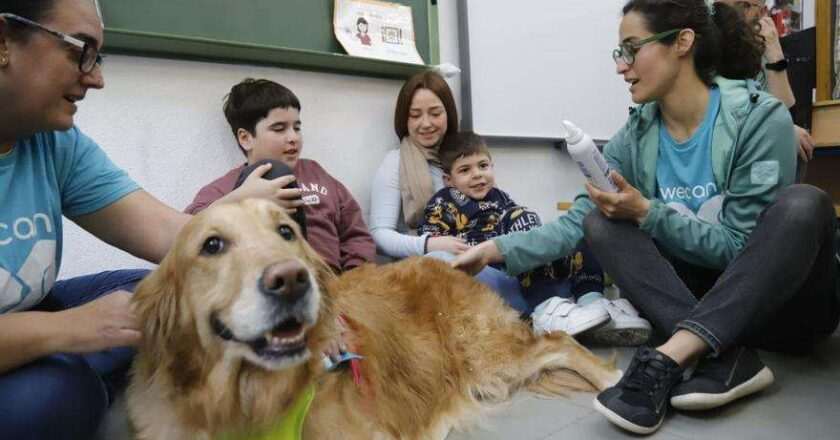 Educación con perros: Huellas en el aula, caninos en colegios de Córdoba para estudiantes con necesidades educativas especiales