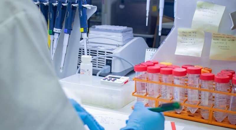 El Gobierno asigna más de seis millones de euros para fortalecer la carrera de los investigadores andaluces.