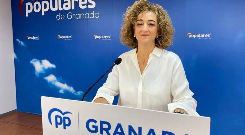 El PP resalta los incentivos fiscales de la Junta para enfrentar la despoblación en la provincia.