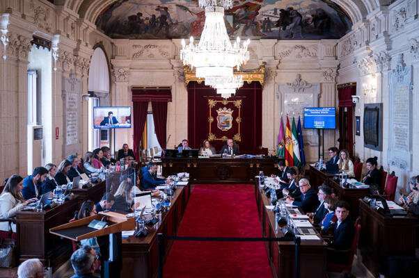 El PP solicita a Sanidad en el Ayuntamiento un Estatuto Marco dialogado con los médicos y las comunidades autónomas