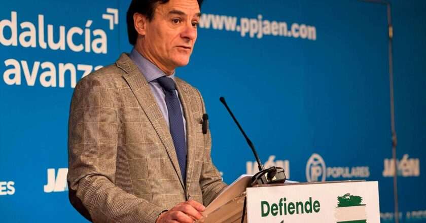 El PP solicita un mayor apoyo al comercio tradicional ante la apertura de Victoria Retail Park.