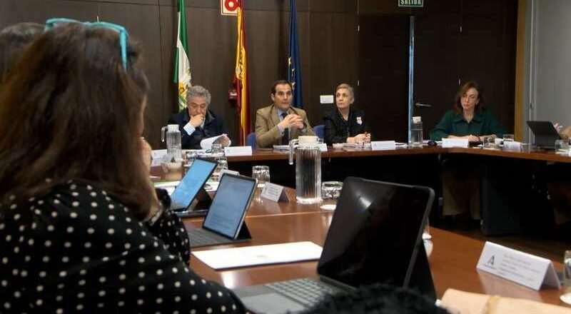 La Estrategia andaluza ante el Reto Demográfico establece áreas de intervención prioritaria con acciones específicas para cada región.