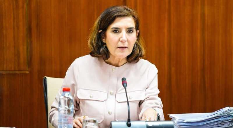 La Junta evalúa la nueva propuesta municipal de zona de afluencia turística en la capital.
