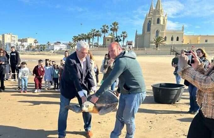 Liberación de tres tortugas marinas en la playa de Regla de Chipiona