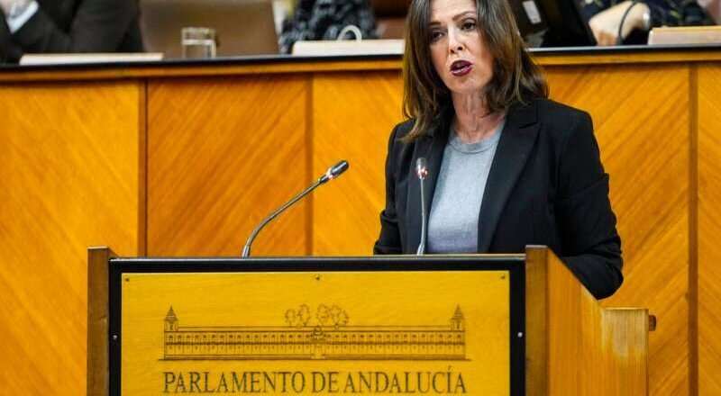 Aprobación del decreto por parte de PP y Vox en el Parlamento para solicitar a los municipios una bolsa de suelo destinada a vivienda asequible
