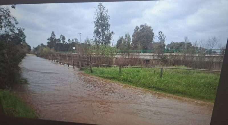 Cierre del Paso de la Canaliega y advertencia por el aumento del arroyo de la Rocina en El Rocío