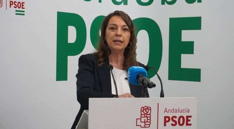 El PSOE-A solicita a Moreno que priorice los servicios públicos de Andalucía sobre las directrices de Feijóo