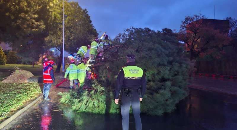 El temporal provoca la caída de árboles, desprendimientos y daños en aceras y asfaltado en la capital
