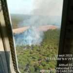 Incendio en el paraje Pasada del Chivo de Almonte ha sido extinguido