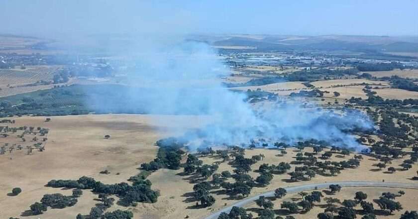 Incendio forestal en Córdoba capital moviliza a equipos aéreos y terrestres
