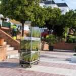Marbella moderniza la plaza Pepe Periáñez de San Pedro Alcántara con un diseño paisajístico sostenible