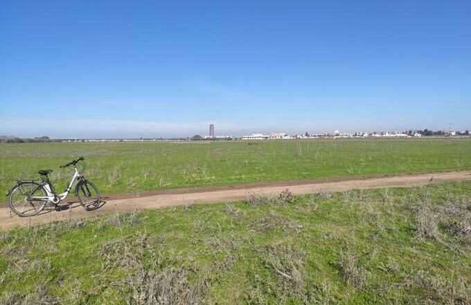 El Ayuntamiento lanza la licitación para el plan estratégico del Anillo Verde y Azul y el corredor urbano del Guadalquivir