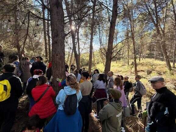 Voluntarios plantan 140 pinsapos en el Parque Nacional Sierra de las Nieves