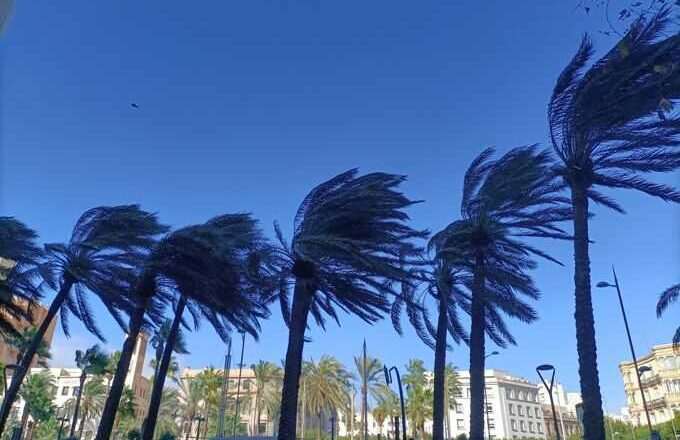 Alerta amarilla por vientos intensos y oleaje en Jaén, Almería y Granada este lunes