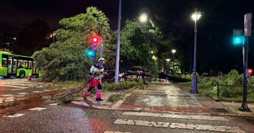 Borrasca Claudia provoca 73 litros de lluvia en Córdoba, más de cien intervenciones y severas inundaciones en dos horas de caos