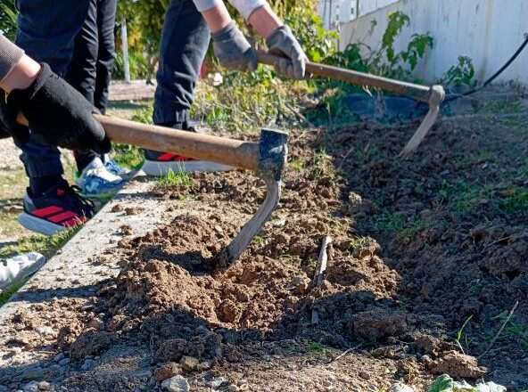 Colegios de la capital se adentran en el mundo de la jardinería