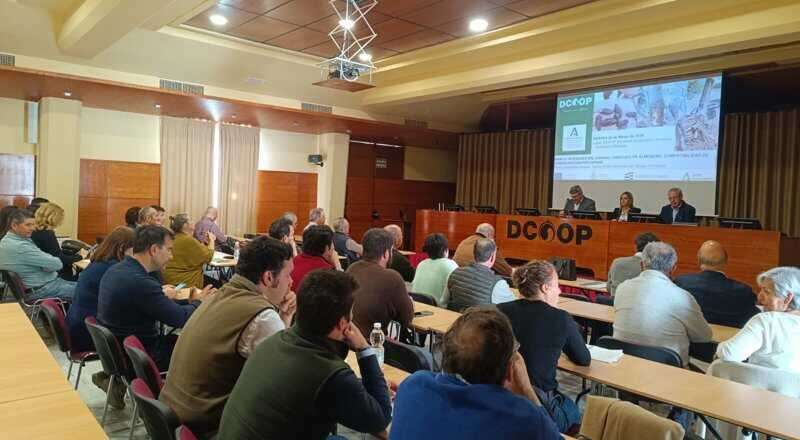 Jornadas informativas sobre plagas de avispilla del almendro y gusano cabezudo organizadas por la Junta