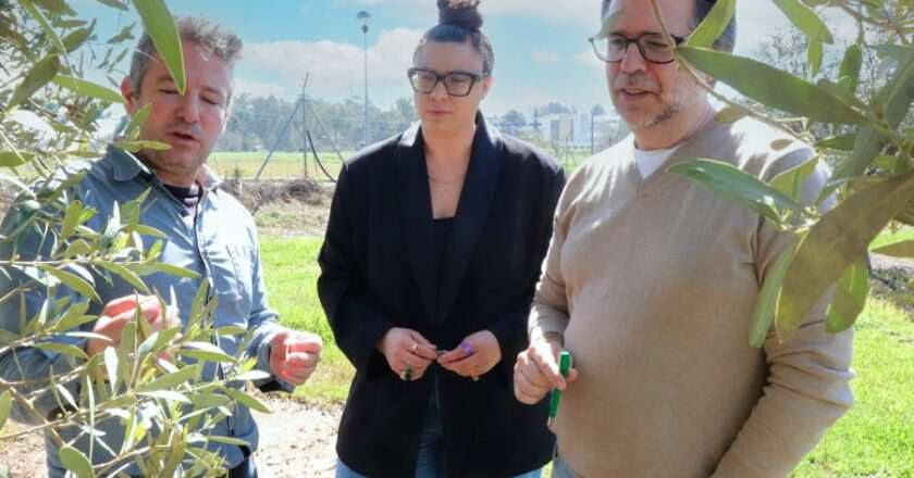 Jie
ense contribuye a un importante avance en el campo andaluz