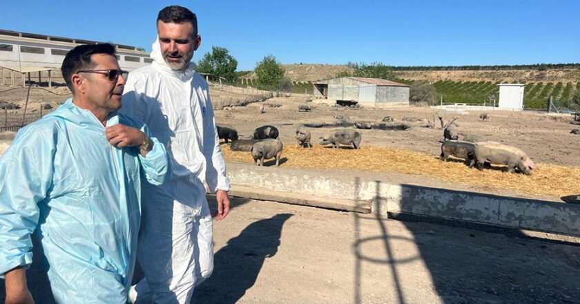 Encuentro del consejero de Agricultura con representantes del sector porcino en Pulpí