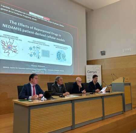 Encuentro internacional en Granada destaca la importancia de la investigación en la enfermedad rara de Nedamss