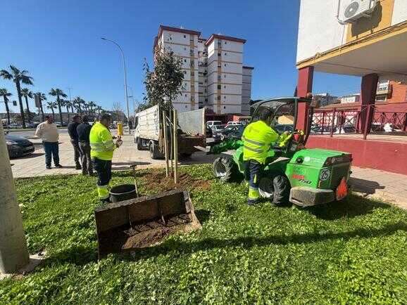 El Ayuntamiento avanza en la renaturalización urbana de la avenida Nuevo Colombino