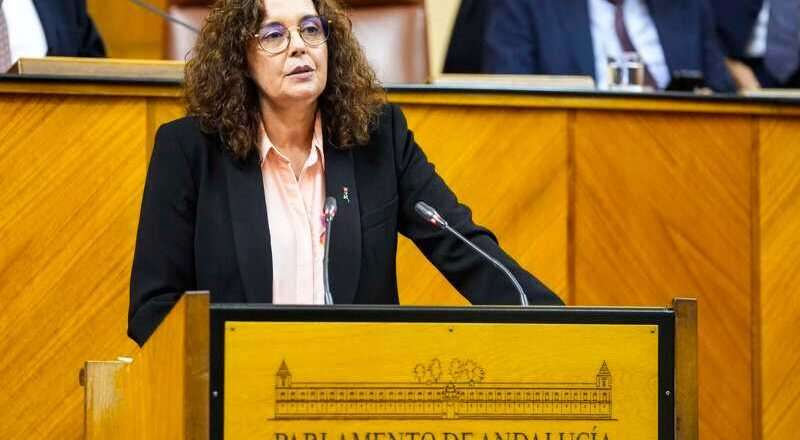 El PSOE critica a la Junta por el incremento de la lista de espera en Dependencia en la provincia