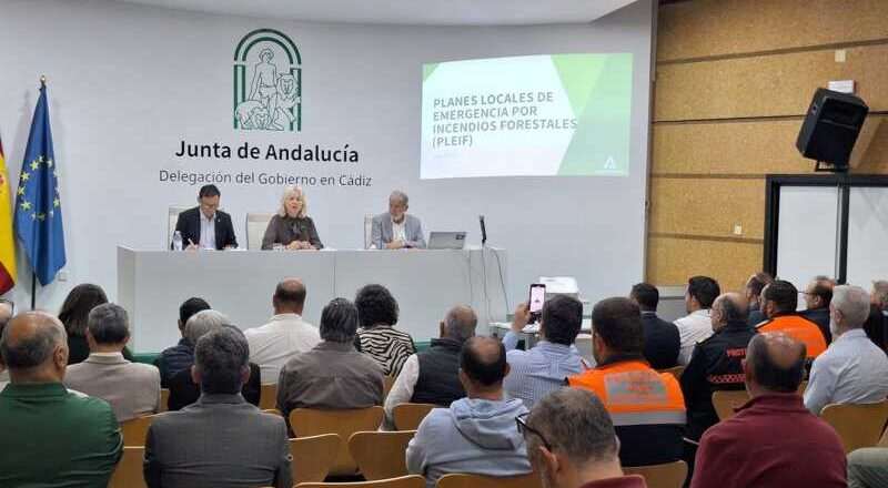 Cádiz discute la relevancia de los planes locales de emergencias ante incendios forestales