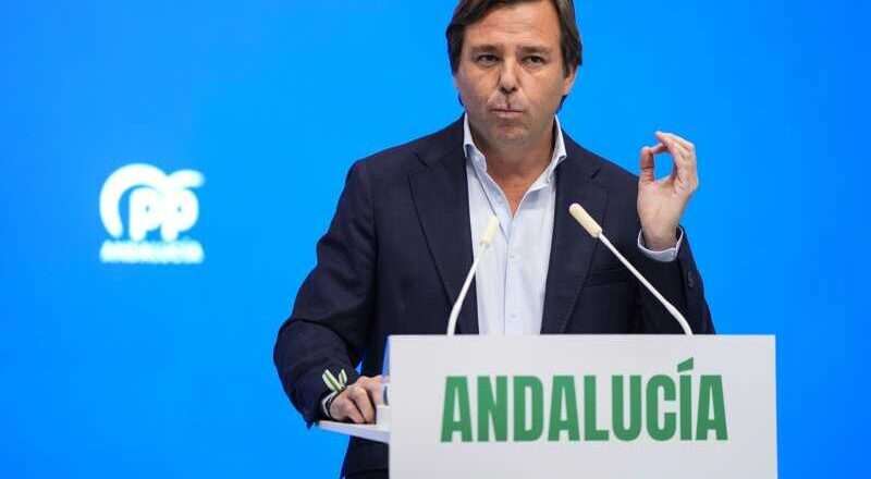 Repullo (PP-A) hace un llamado a continuar la lucha por la estabilidad y el futuro para protegerse del legado del PSOE