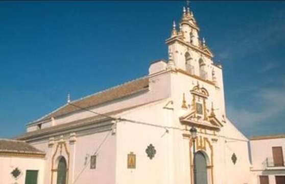 Descubren el cuerpo calcinado de un hombre de 92 años en una parcela de Bormujos, Sevilla