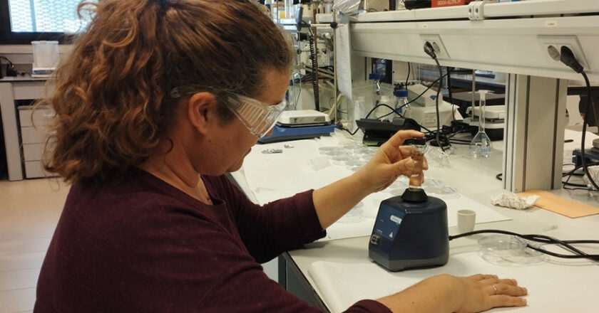 Investigadores andaluces crean arcillas que incrementan diez veces la eliminación de metales en aguas contaminadas