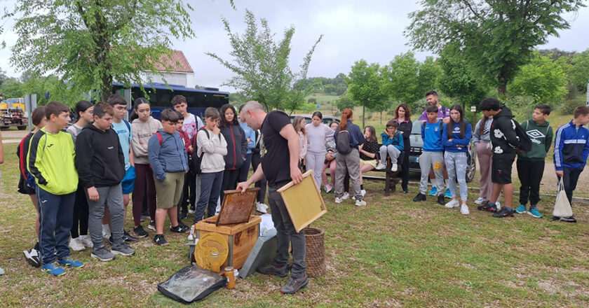 Estudiantes de Secundaria participan en una jornada sobre apicultura y cambio climático en Cardeña y Montoro