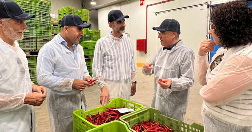 La Junta resalta el apoyo de los programas operativos en la transformación del sector hortofrutícola