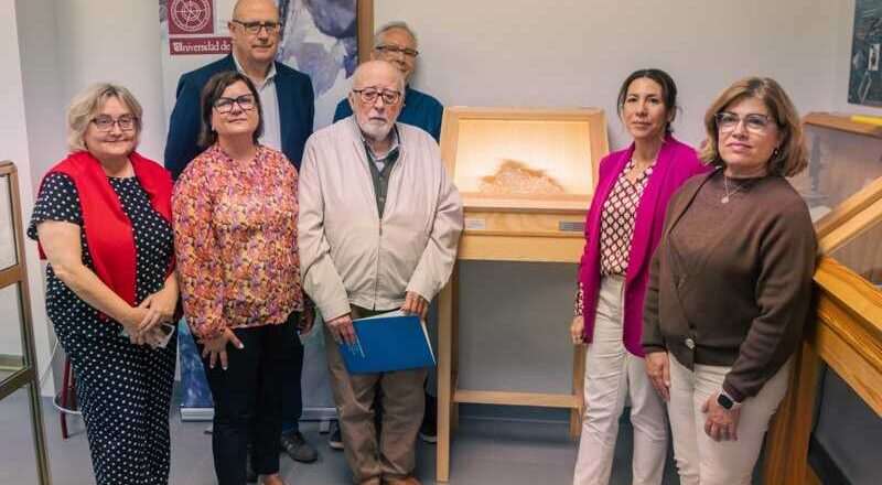 UHU añade una pieza de cobre nativo de la antigua mina Monte Romero a su Aula-Museo de Geología