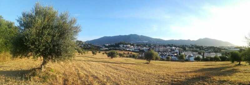 Mijas solicita a propietarios de parcelas privadas realizar limpieza y desbroce para prevenir incendios y cuidar el medio ambiente