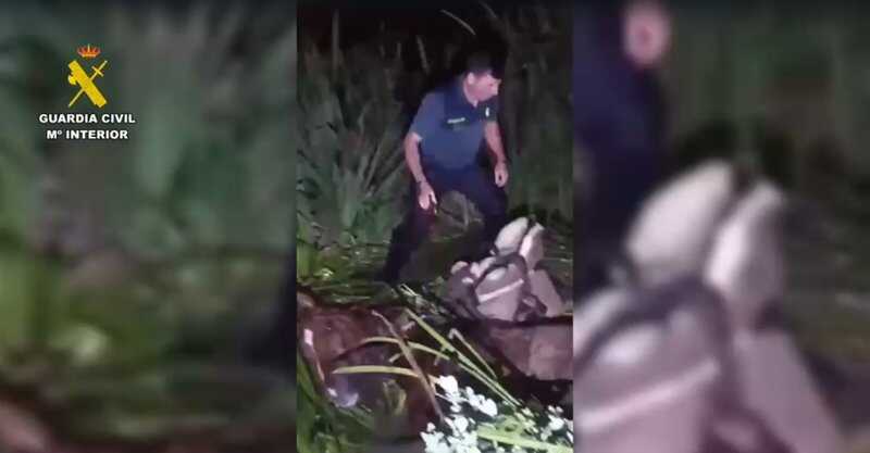 Rescate de un jinete y su caballo atrapados en lodos en la aldea de El Rocío
