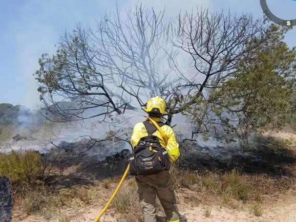 Incendio en Almonte estabilizado mientras el dispositivo sigue trabajando en su control