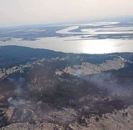 SEO/BirdLife estima que cerca de un centenar de especies se ven afectadas por el incendio en Doñana