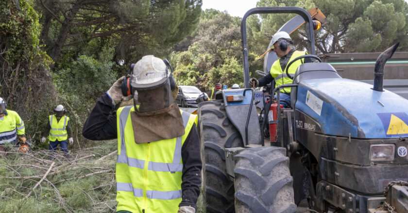 Inicio de trabajos de poda y desbroce en once carreteras de la sierra para prevenir incendios forestales