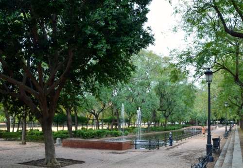 Dos personas lesionadas por la caída de una rama en el Prado de San Sebastián en Sevilla