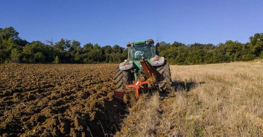 Hombre herido tras ser aplastado por un tractor en una finca de Cuevas del Almanzora
