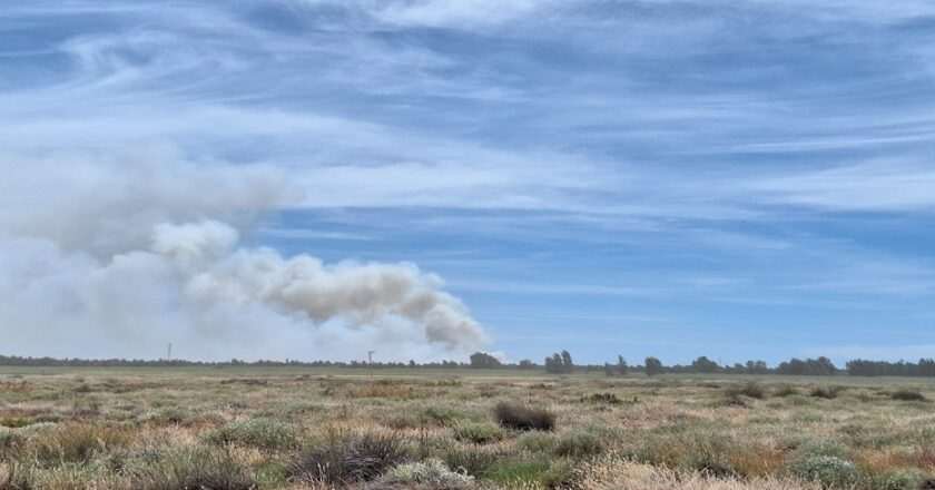 Razones detrás del humo persistente en el incendio forestal de Gibraleón a pesar de la ausencia de llamas