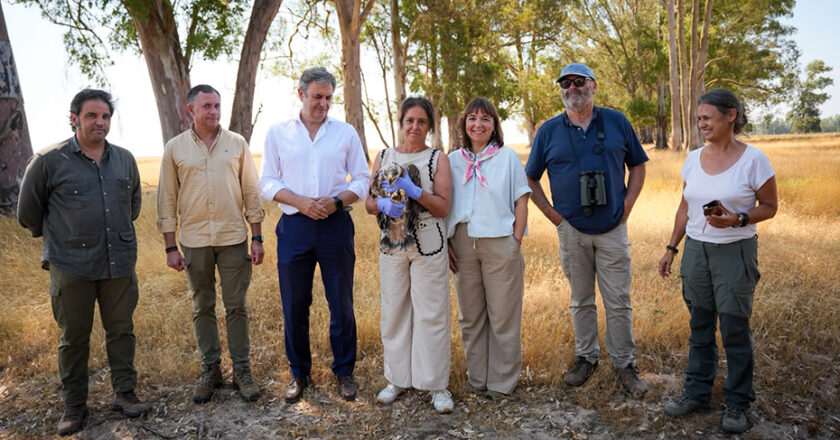 Junta y Fundación Endesa trabajan juntos para proteger el águila imperial y el milano real en Doñana